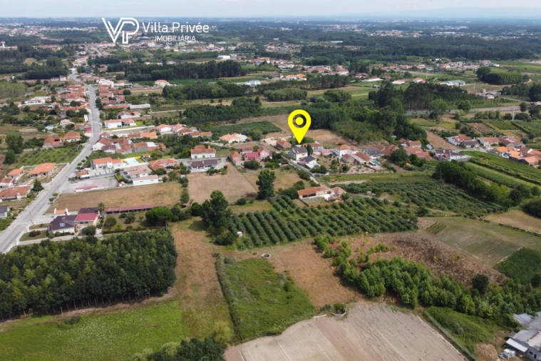 Terreno para Venda em Bustos, Troviscal e Mamarrosa Foto 14