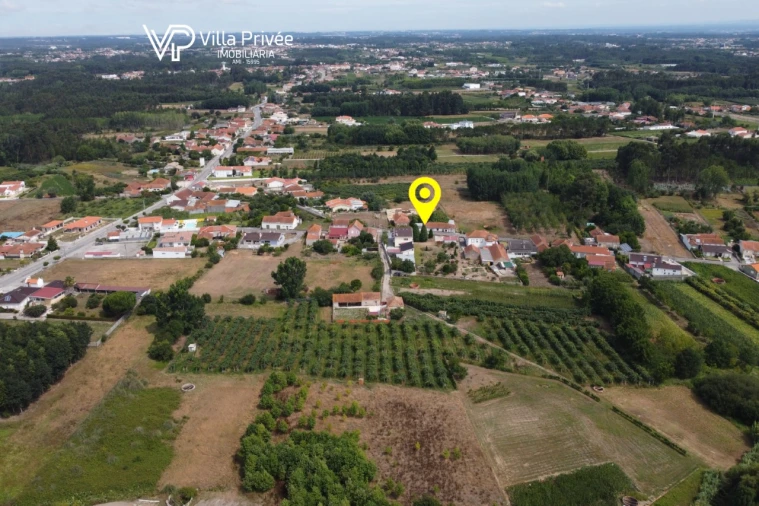 Terreno para Venda em Bustos, Troviscal e Mamarrosa Foto 15