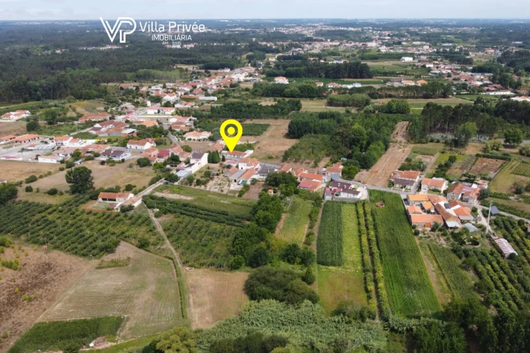 Terreno para Venda em Bustos, Troviscal e Mamarrosa Foto 16