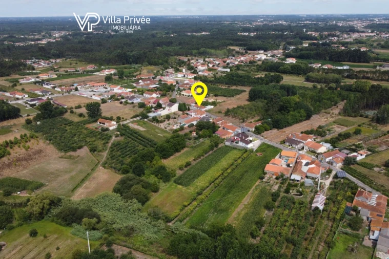Terreno para Venda em Bustos, Troviscal e Mamarrosa Foto 17