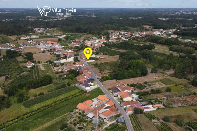 Terreno para Venda em Bustos, Troviscal e Mamarrosa Foto 18