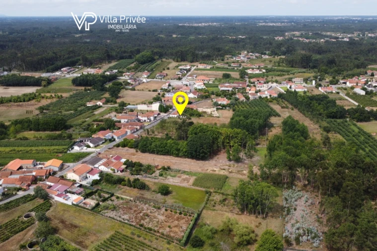 Terreno para Venda em Bustos, Troviscal e Mamarrosa Foto 20