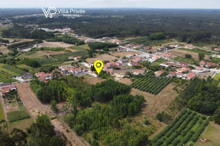 Terreno para Venda em Bustos, Troviscal e Mamarrosa Foto 22