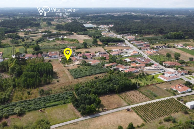Terreno para Venda em Bustos, Troviscal e Mamarrosa Foto 23
