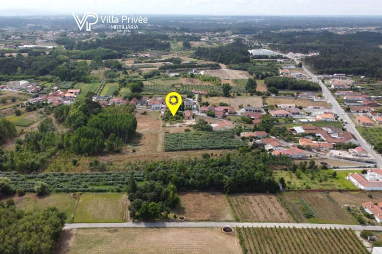 Terreno para Venda em Bustos, Troviscal e Mamarrosa Foto 24
