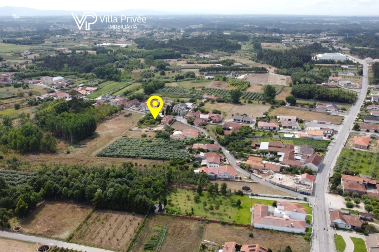 Terreno para Venda em Bustos, Troviscal e Mamarrosa Foto 25