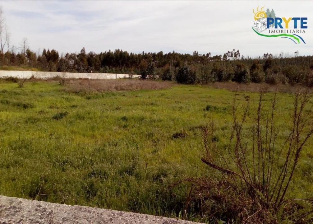 Terreno para Venda em Envendos Foto 4