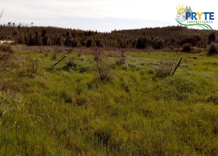 Terreno para Venda em Envendos Foto 2