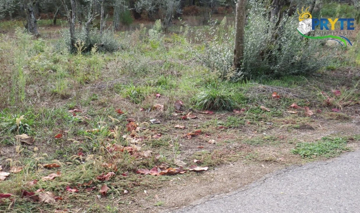 Terreno para Venda em Cabeçudo Foto 17