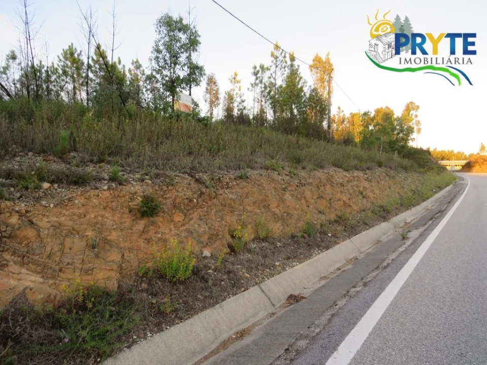 Terreno para Venda em Cumeada e Marmeleiro Foto 1