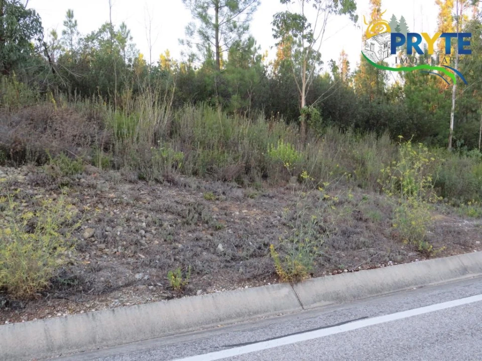 Terreno para Venda em Cumeada e Marmeleiro Foto 3