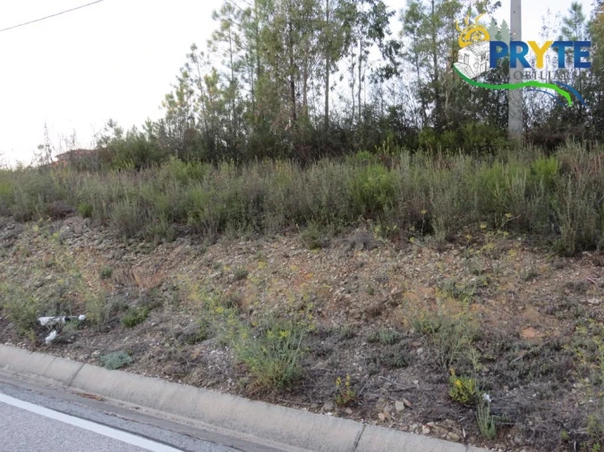 Terreno para Venda em Cumeada e Marmeleiro Foto 4