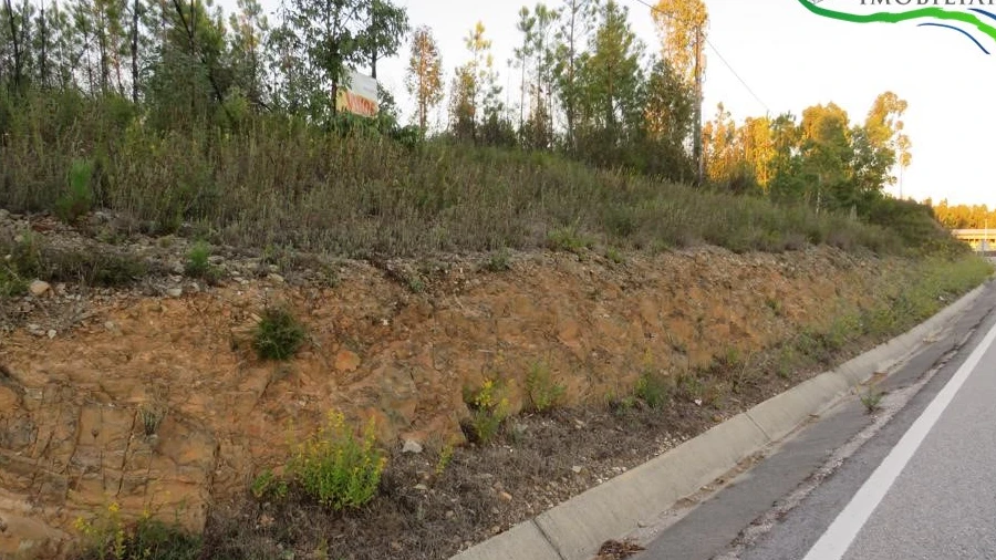 Terreno para Venda em Cumeada e Marmeleiro