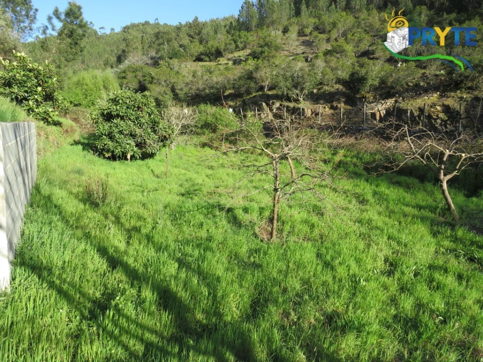 Terreno para Venda em Varzea dos Cavaleiros Foto 7