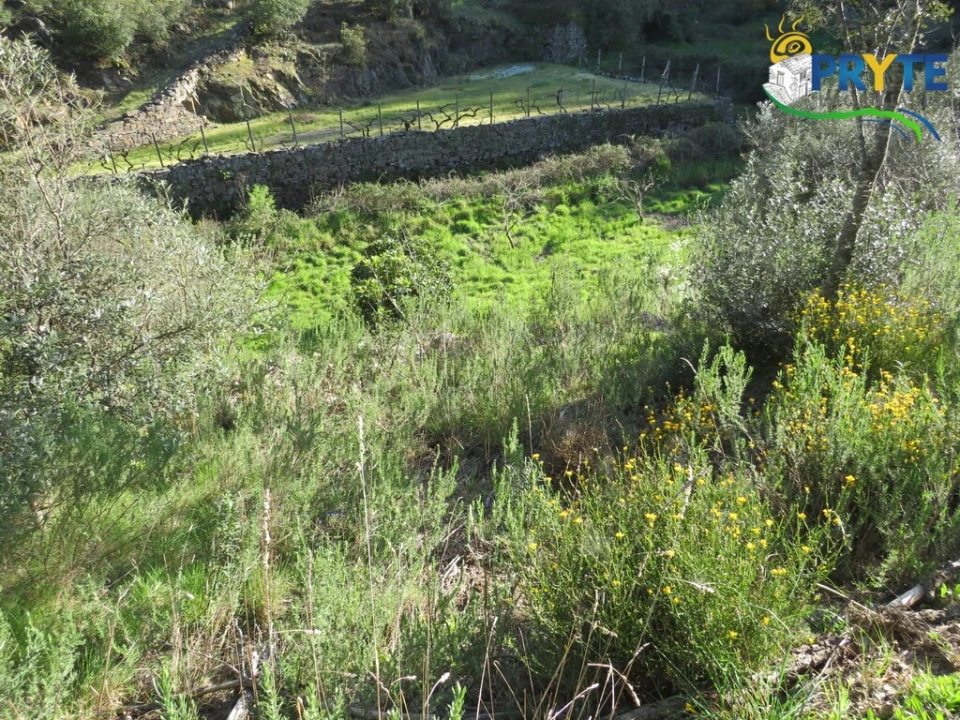 Terreno para Venda em Varzea dos Cavaleiros Foto 8