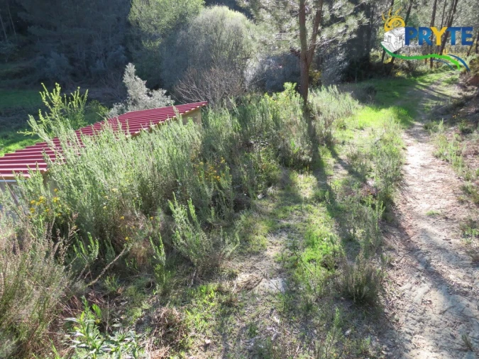 Terreno para Venda em Varzea dos Cavaleiros Foto 10
