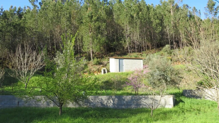 Terreno para Venda em Varzea dos Cavaleiros