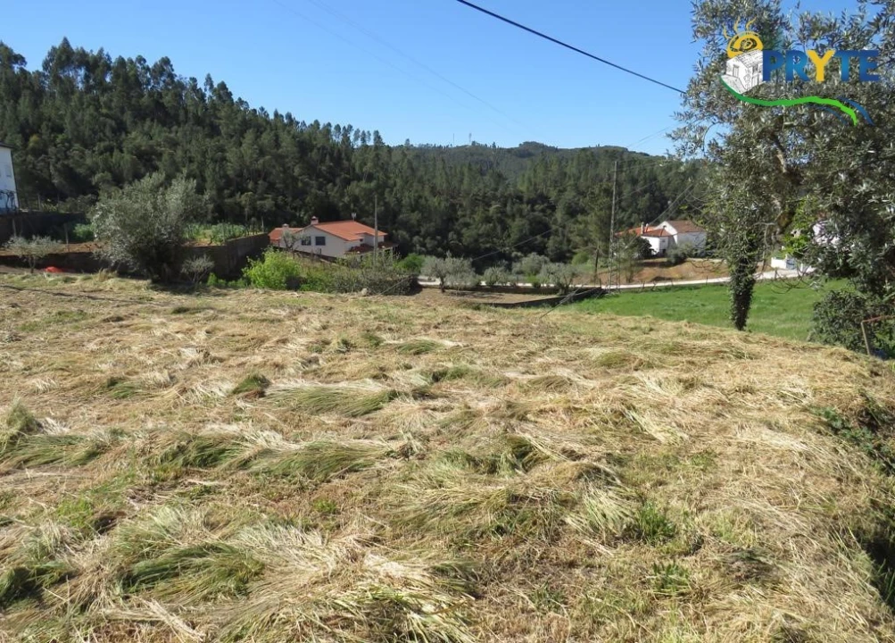 Terreno para Venda em Sertã Foto 6