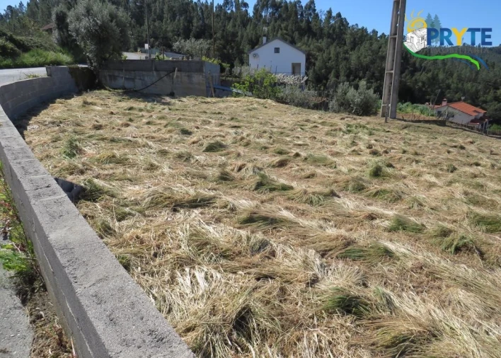 Terreno para Venda em Sertã Foto 2