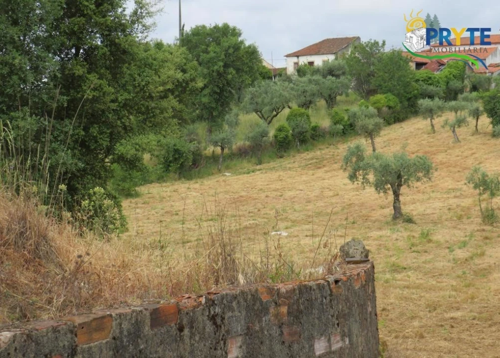 Terreno para Venda em Pedrogão Grande Foto 12