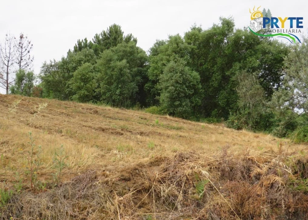 Terreno para Venda em Pedrogão Grande Foto 17