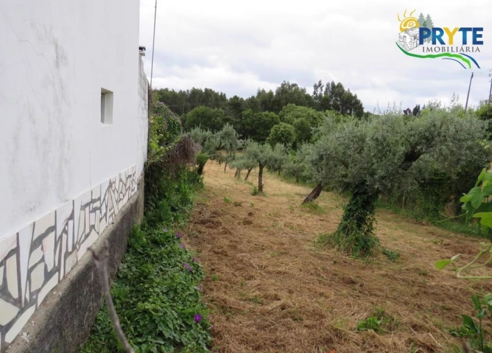 Terreno para Venda em Pedrogão Grande Foto 3