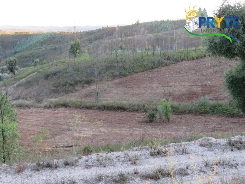 Terreno para Venda em Cumeada e Marmeleiro Foto 2