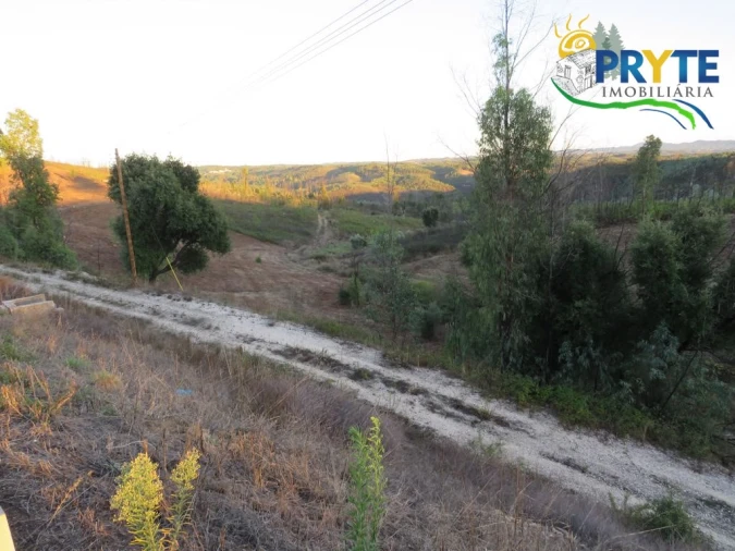Terreno para Venda em Cumeada e Marmeleiro Foto 4