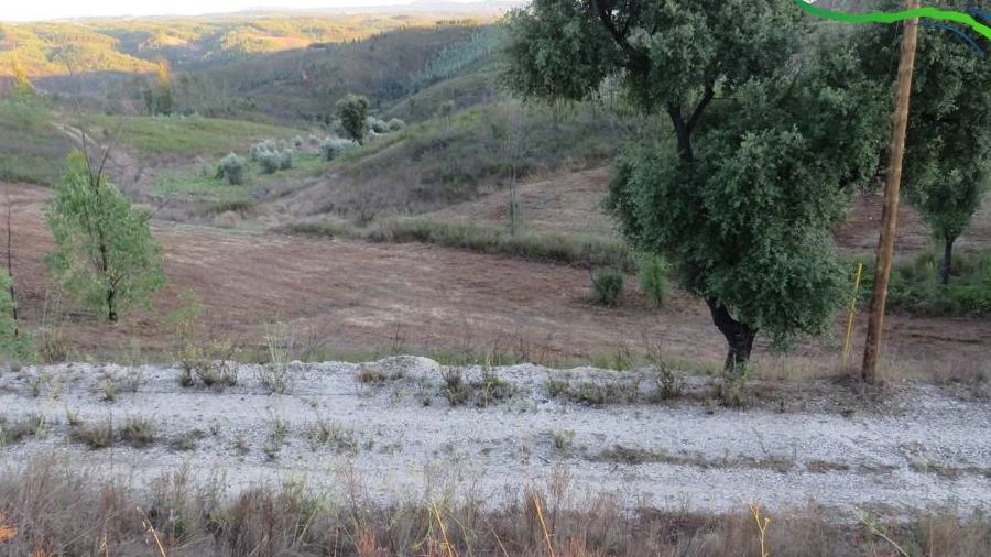 Terreno para Venda em Cumeada e Marmeleiro