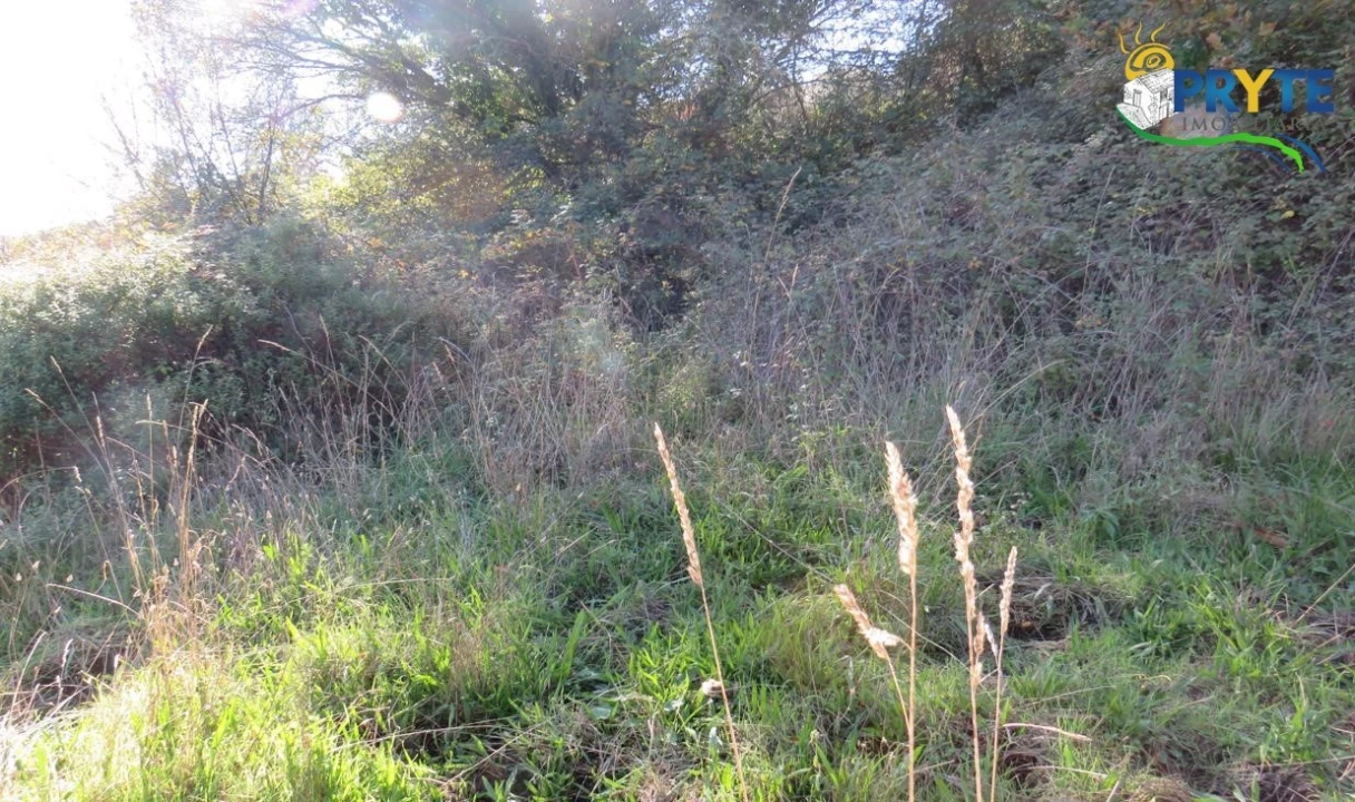 Terreno para Venda em Castanheira de Pêra e Coentral Foto 5