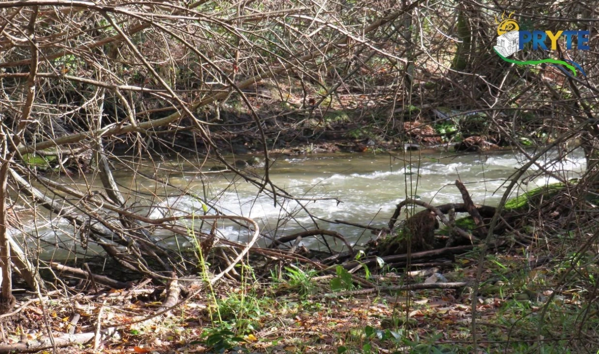 Terreno para Venda em Castanheira de Pêra e Coentral Foto 1