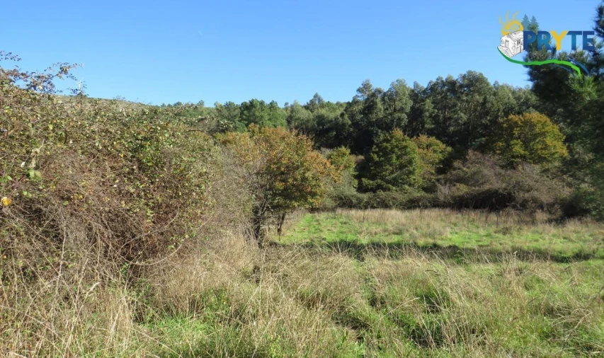 Terreno para Venda em Castanheira de Pêra e Coentral Foto 2