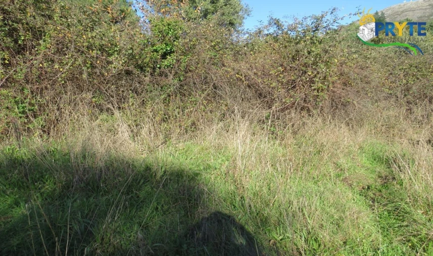 Terreno para Venda em Castanheira de Pêra e Coentral Foto 4