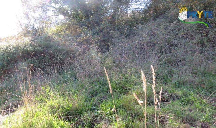 Terreno para Venda em Castanheira de Pêra e Coentral Foto 5
