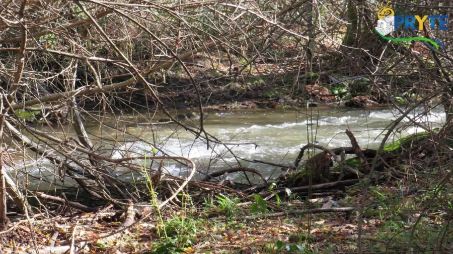 Terreno para Venda em Castanheira de Pêra e Coentral