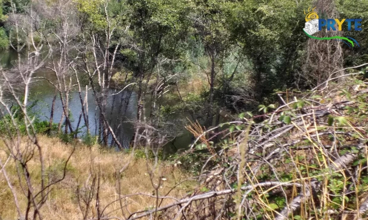 Terreno para Venda em Sertã Foto 16
