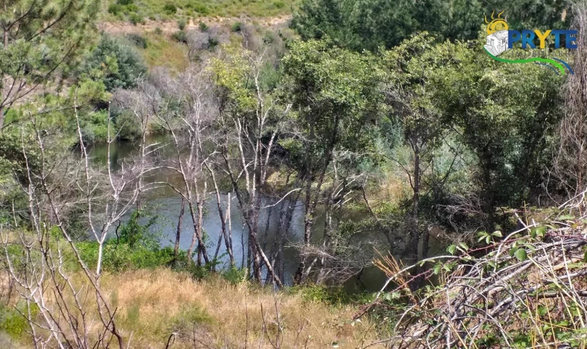Terreno para Venda em Sertã Foto 18