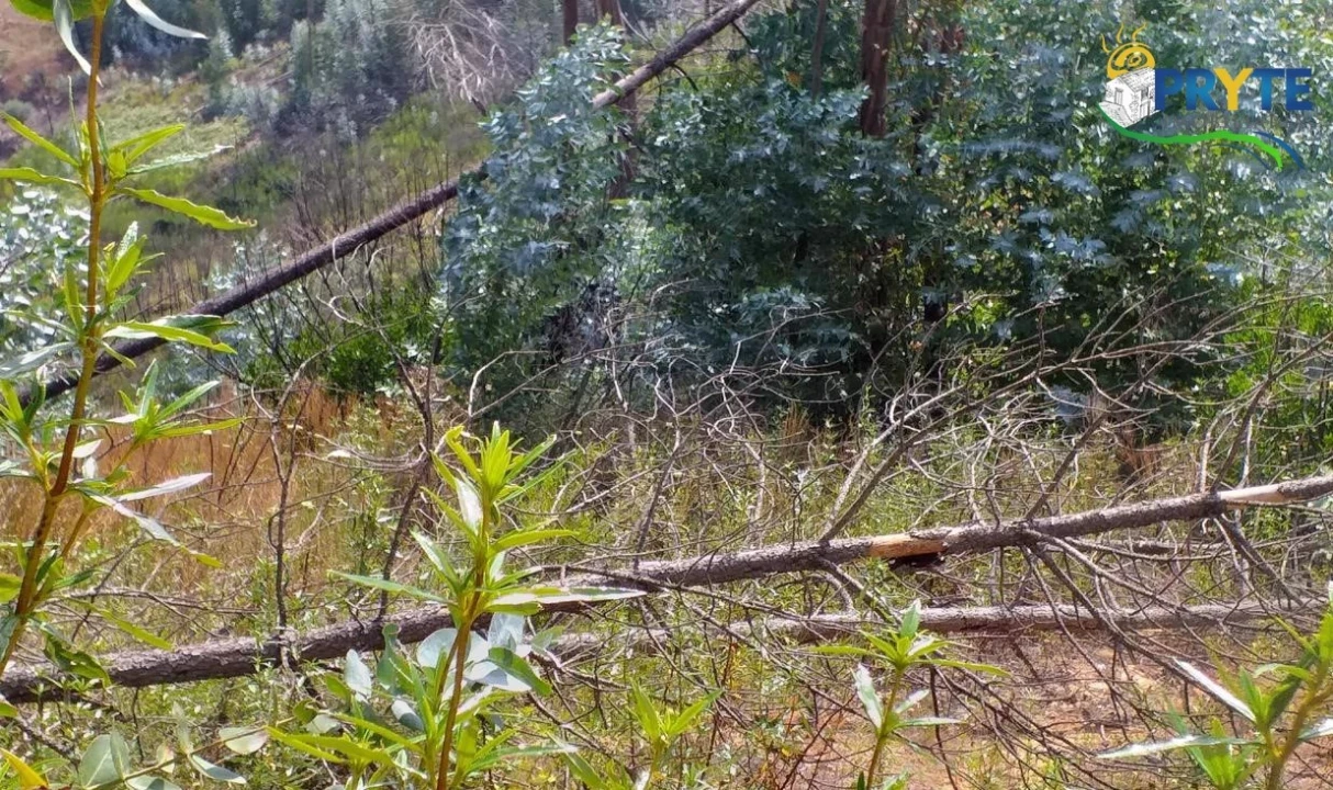 Terreno para Venda em Sertã Foto 25