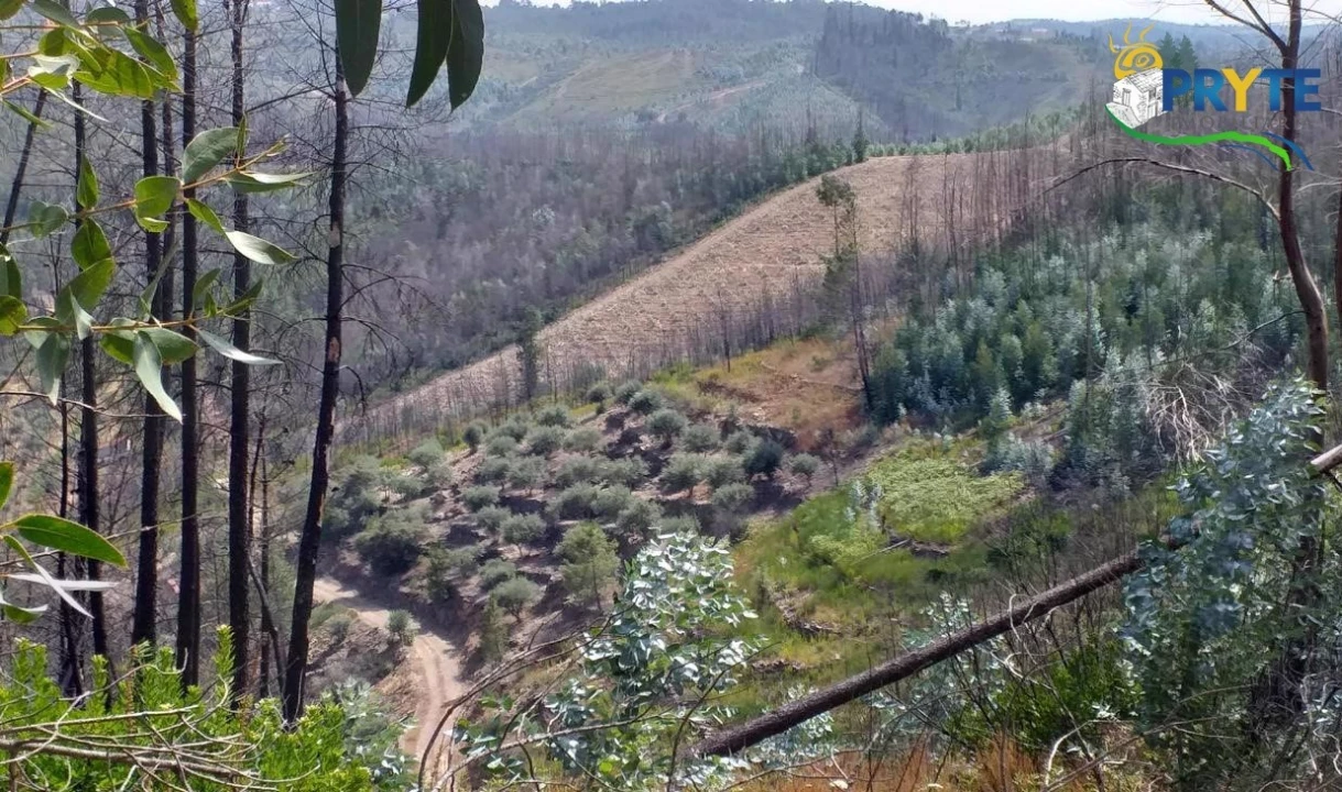 Terreno para Venda em Sertã Foto 26