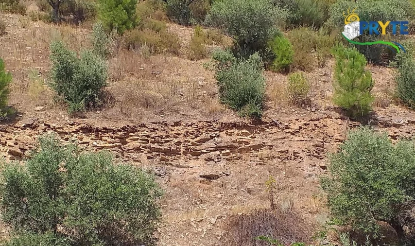 Terreno para Venda em Sertã Foto 5