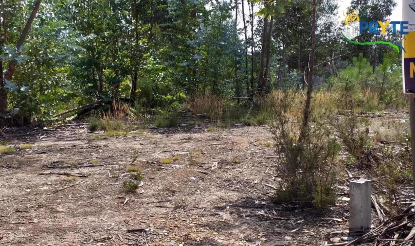 Terreno para Venda em Sertã Foto 14