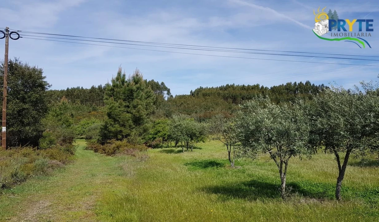 Terreno para Venda em Cumeada e Marmeleiro Foto 1