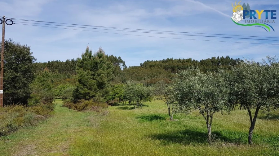 Terreno para Venda em Cumeada e Marmeleiro