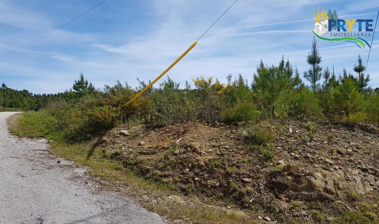 Terreno para Venda em Sertã Foto 5