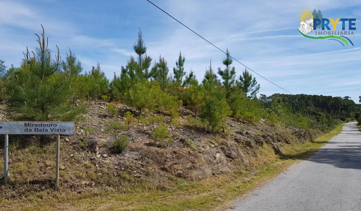 Terreno para Venda em Sertã Foto 6