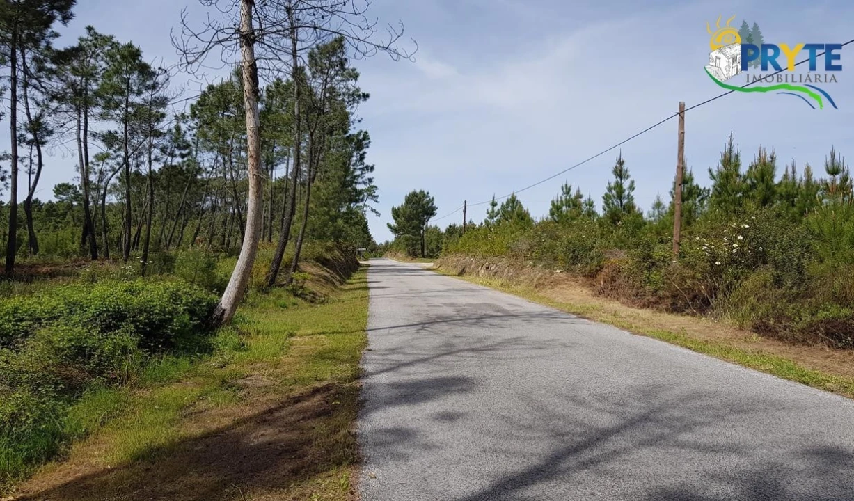 Terreno para Venda em Sertã Foto 8