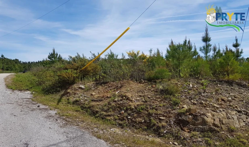Terreno para Venda em Sertã Foto 5