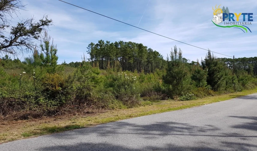 Terreno para Venda em Sertã Foto 7