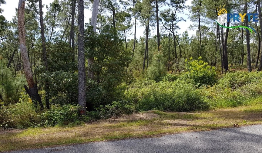 Terreno para Venda em Sertã Foto 10