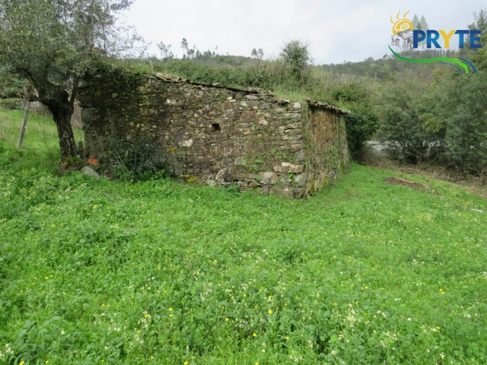 Terreno para Venda em Sertã Foto 2